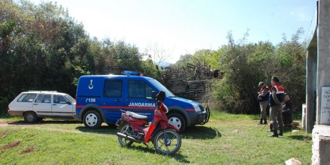 Ağıldan koyunlar çalındı