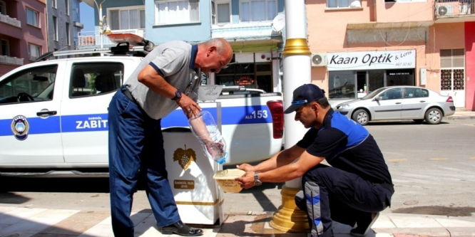 Sokak hayvanları için zabıta amirinden örnek davranış