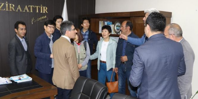 Ağrı buğdayı Güney Kore sofralarında