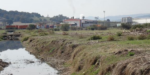 Fabrika atıklarıyla kirlenen Küçükkara Deresi, köylüleri isyan ettirdi