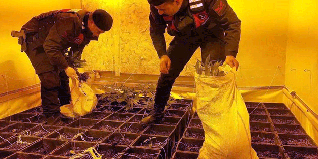 Fabrika görünümlü uyuşturucu serası