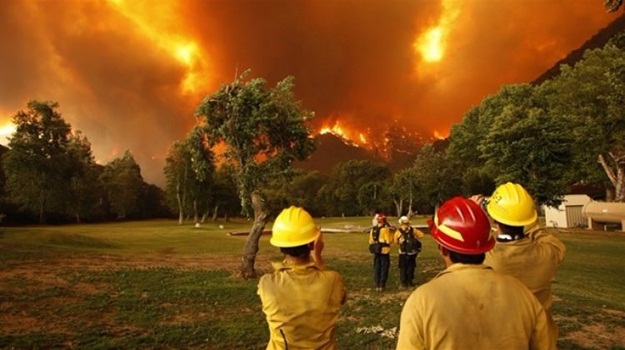 Facebook'ta popüler olmak için orman yaktı!