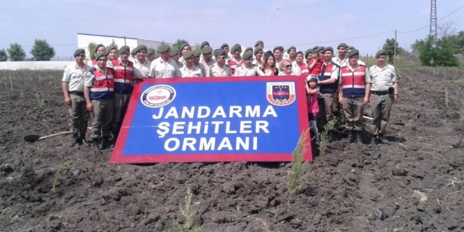 Jandarma'dan şehitler adına hatıra ormanı