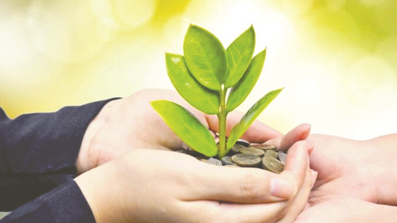 Faizin panzehiri karz-ı hasen