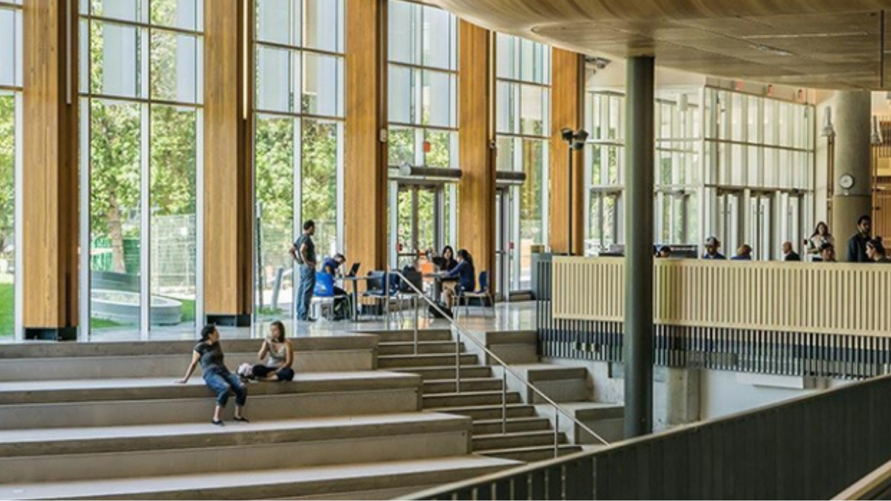 Fakülteler boş kaldı, 3 öğrenciye 1 akademisyen düştü