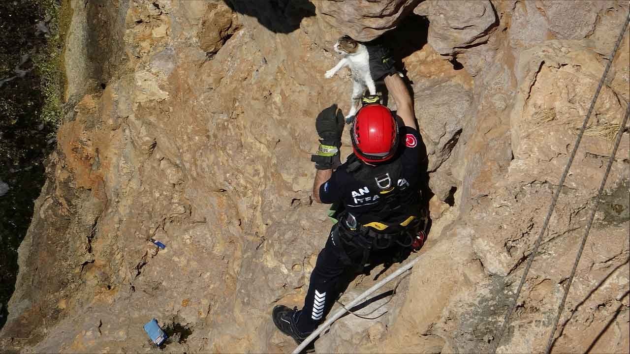 Falezlerde ölüm kalım savaşı! Mahsur kalan minik dostumuz için seferber oldular