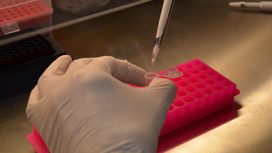 Fareden bulaşan hastalık endişelendirdi