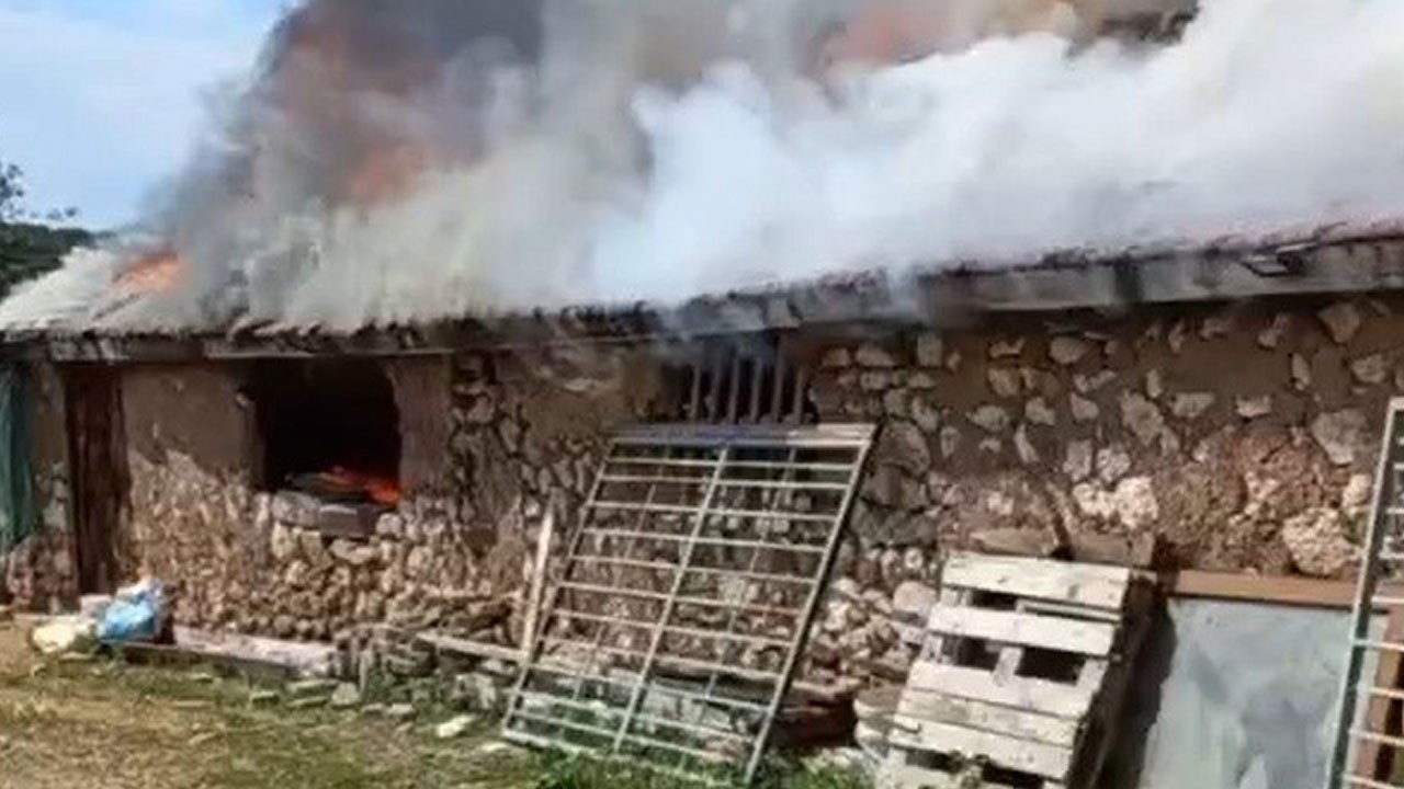 Farelerin kemirdiği kablodan yangın çıktı