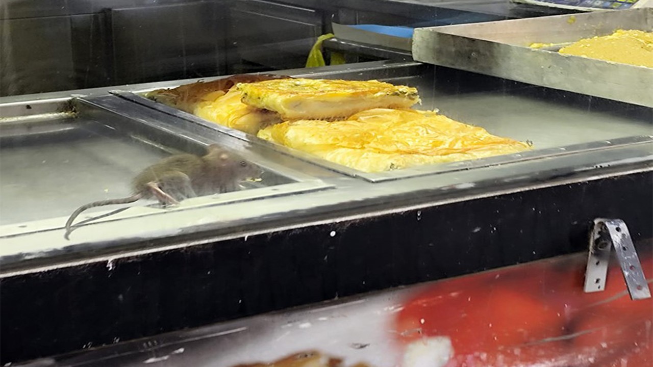 Fareli köyün değil İzmir faresinin börek keyfi!