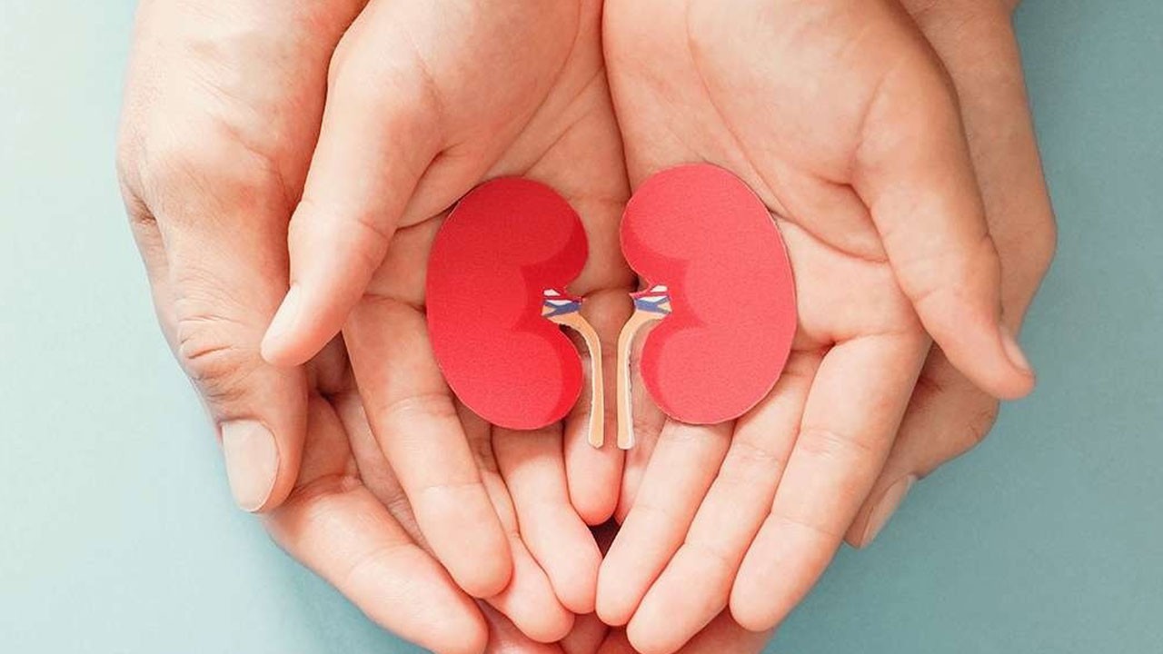 Fark edilmeden ilerliyor! Vücudun sessiz işçileri tehlikede