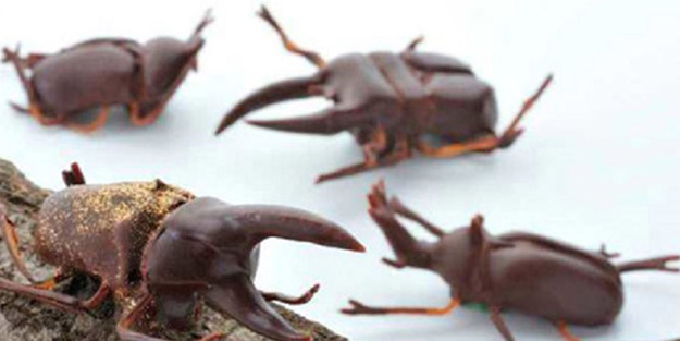 Farkında değiliz ama hepimiz bunları yiyoruz!