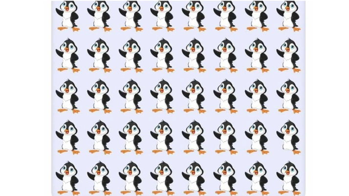 Farklı pengueni bulmak için sadece 7 saniyeniz var! Bakın kimler hemen buluyormuş