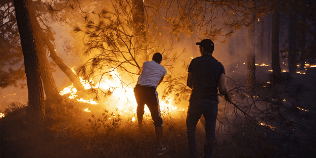 Fas'ta feci yangın: 700 hektar kül oldu
