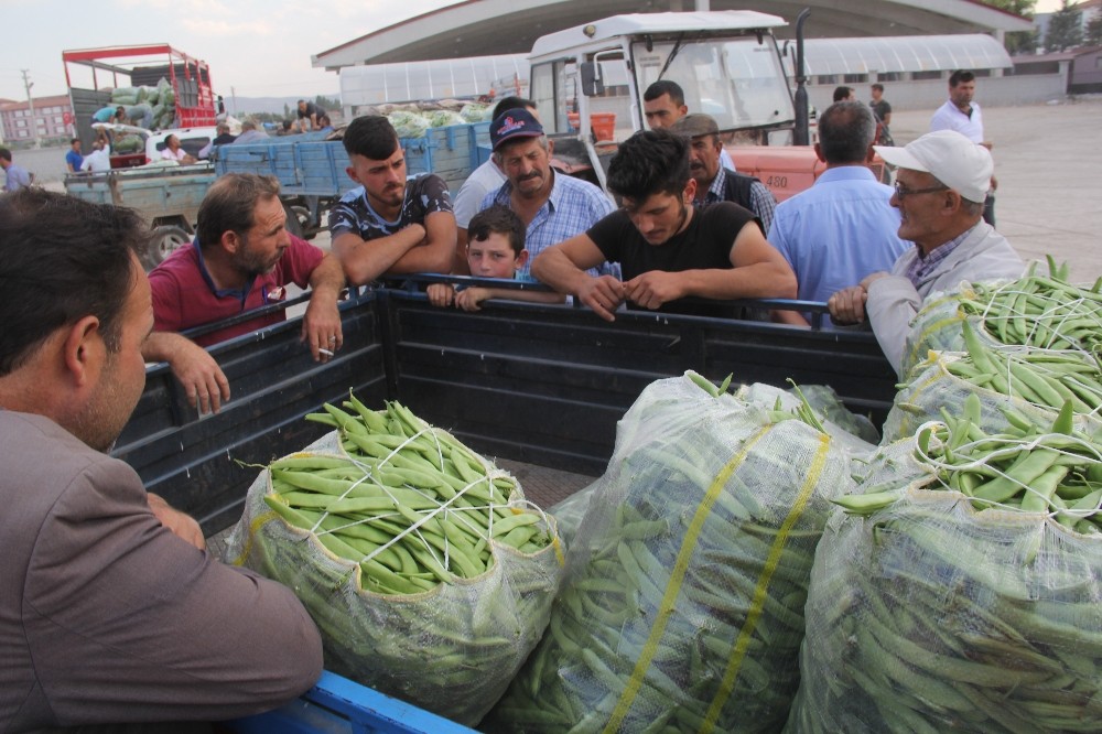 Fasulye piyasası altın çağını yaşıyor 