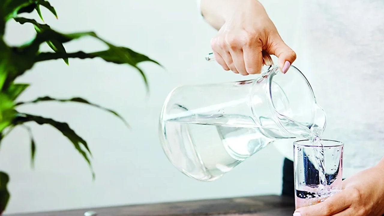 Fasulye yetiştiriciliğinde çiçeklenme ve hasat zamanı, saksında bakım için ne gerekir?