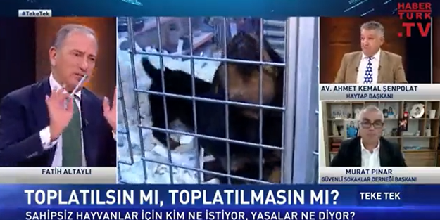 HAYTAP Başkanı'na canlı yayında sert sözler: Eşekbaşı değiliz!