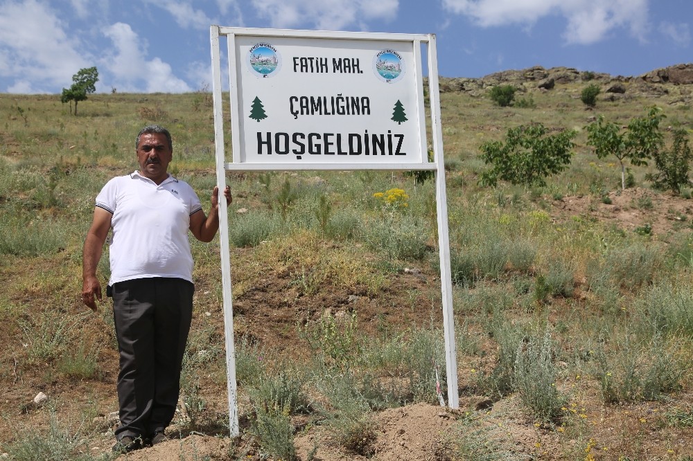 Fatih Mahallesi yeşiline sahip çıkıyor 