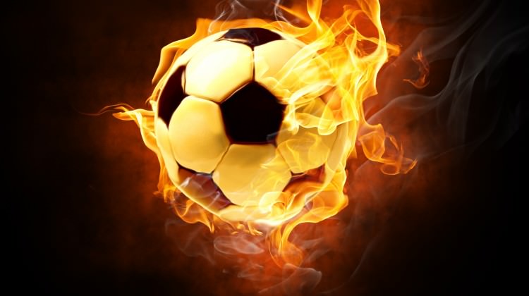 Fatih Terim ile görüşen Bosna'ya tanıdık hoca!