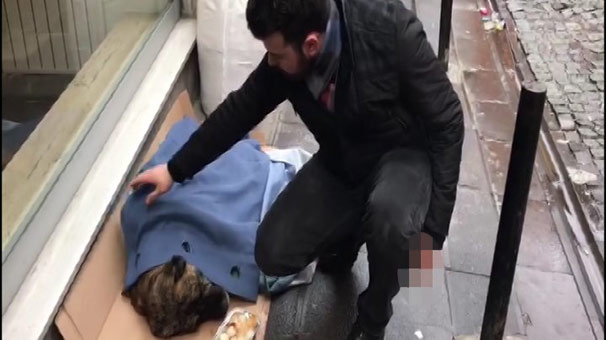 Fatih'te hasta sokak köpeğine esnaf sahip çıktı