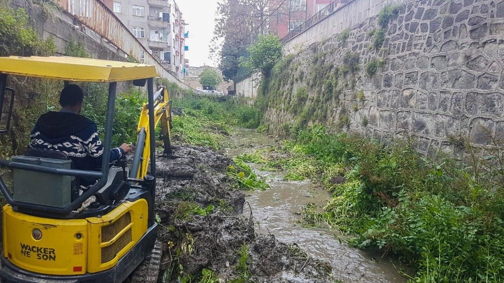 Fatsa dereleri temizleniyor 