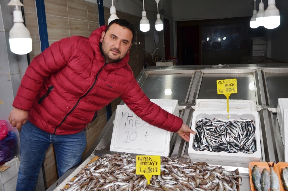 Fatsa’da hamsinin kilosu 30 TL 