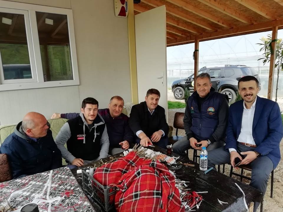 Fatsa’da yerel ceviz üretimi eğitimi 