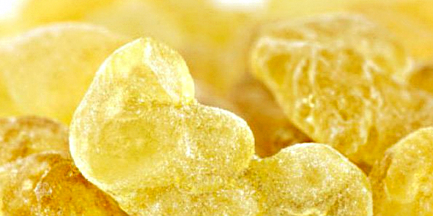 Faydaları saymakla bitmeyen bitki: Binbir derde deva, ağrıları azaltmada etkili! Neye iyi gelir?