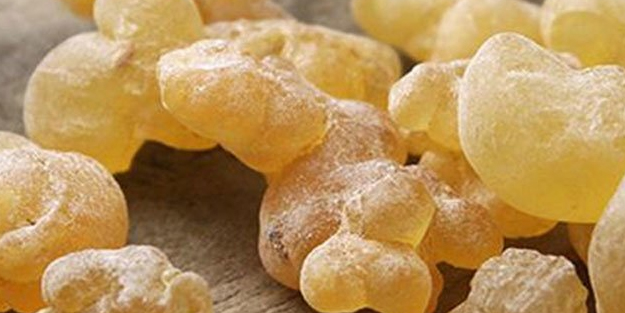 Faydaları saymakla bitmeyen bitki! Dünyaca ünlü gıda: Marketten almayı unutma! Tıp uzmanları tek tek anlatıyor