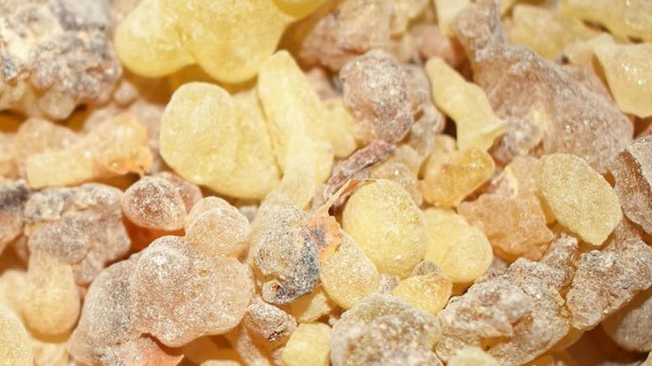 Faydaları saymakla btmeyen bitki: İçerisinde şifa var diyen uzmanlardan bilgi!