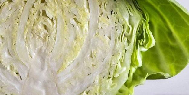 Faydaları saymakla bitmiyor! Ruh sağlığına bile iyi geliyor