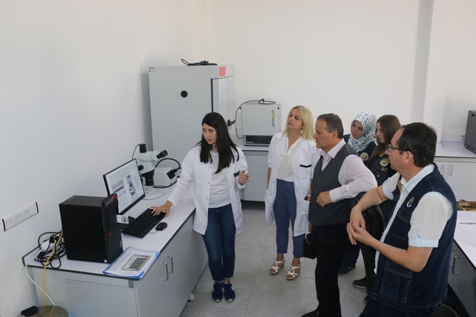 Faydalı böceklerle ormanlar koruma altında 