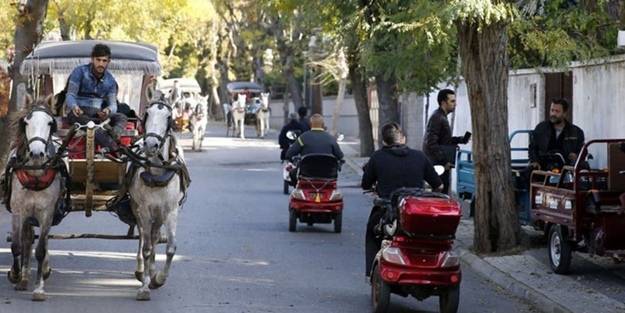Fayton gitti, dert bitmedi! İBB'nin İstanbul'dan uzaklaştırırken yok ettiği atların ahı mı?