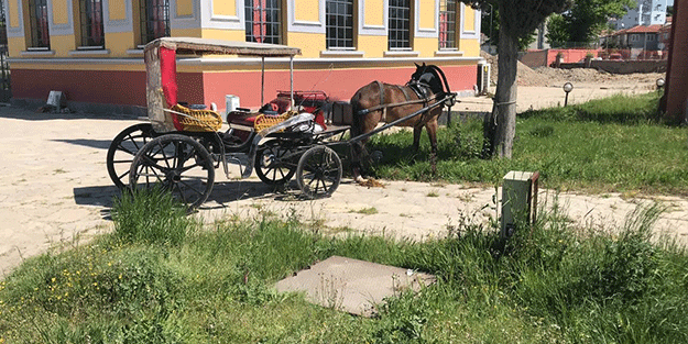 Faytoncuyu önce darbettiler ardından bıçakladılar