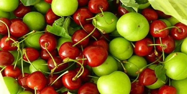 Fazla meyve yemek sağlığı olumsuz etkiliyor