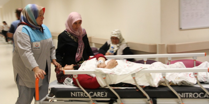 Ağaçtan düşen kadın ağır yaralandı