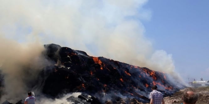 Suluova’da besi çiftliğinde yangın