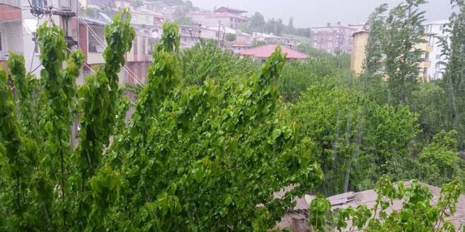 Kulp’u dolu vurdu