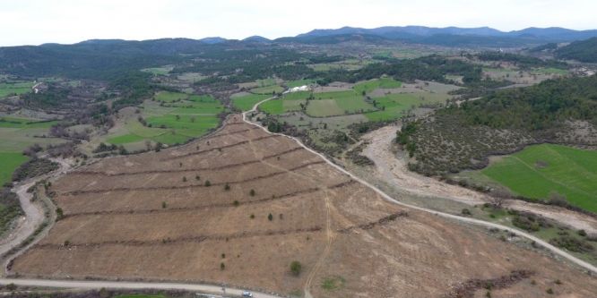 Kastamonu’da 200 dekarda ceviz ve badem dikildi