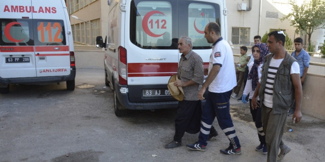 Akraba iki aile arasında dut ağacı kavgası: 2 yaralı