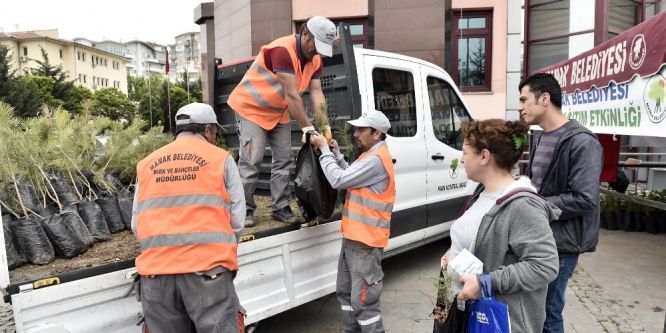 Mamak’ta ücretsiz fidan dağıtımı