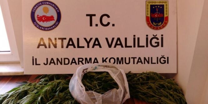 Alanya’da uyuşturucu operasyonu