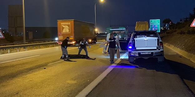 Feci kaza! Ceset parçalarını ekipler top