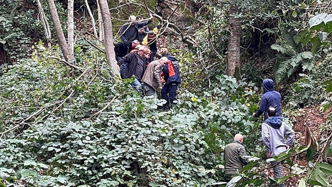 Feci kaza! Kestiği ağaç üzerine devrildi
