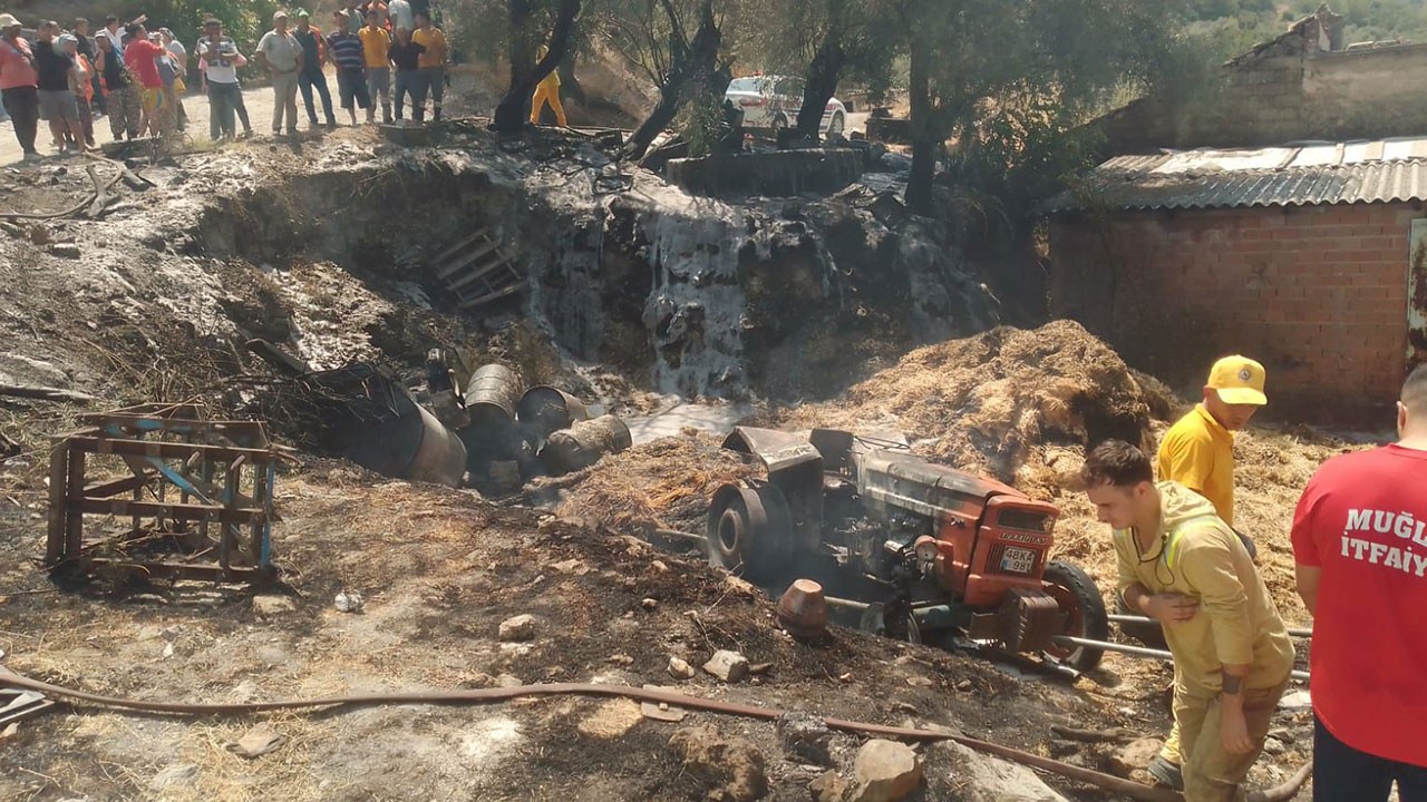 Feci kazada sürücü öldü