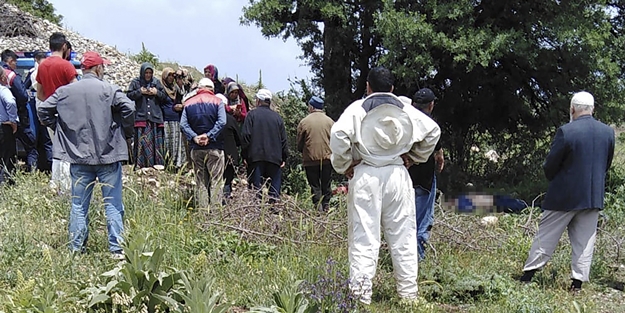 Feci olay: Çoban ve sürüsünün üzerine yıldırım düştü!