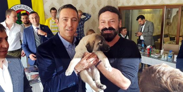 Fenerbahçe Başkanı Ali Koç'a kangal yavrusu hediye edildi