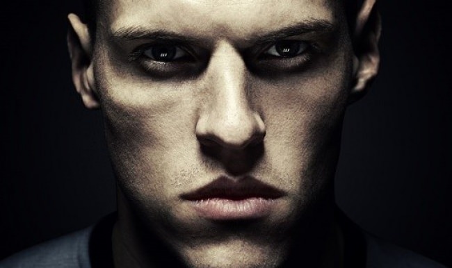 Fenerbahçe, Skrtel için ne kadar ödeyecek?