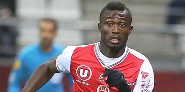 Fenerbahçe yeni Novak'ını buldu!