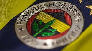 Fenerbahçe’de sakatlık şoku!