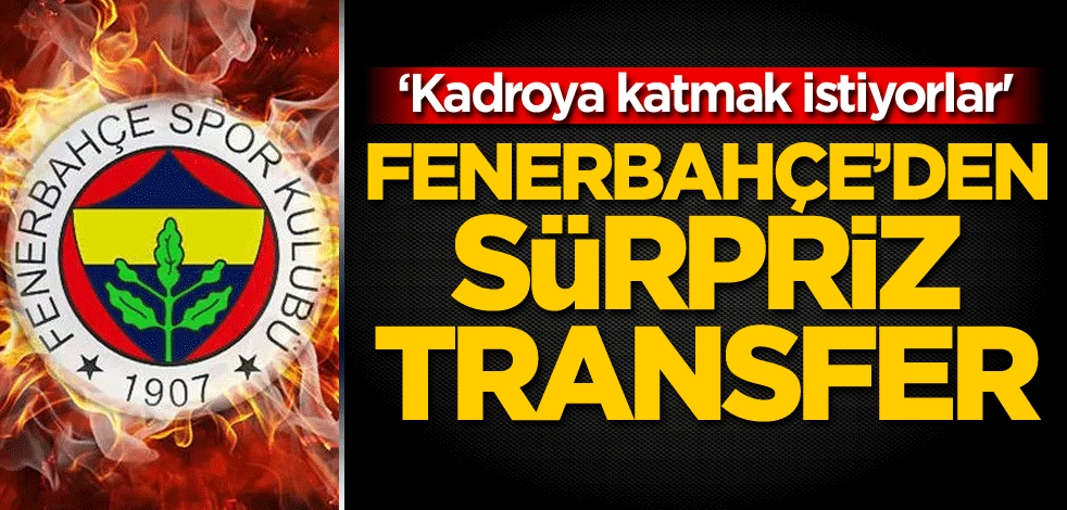Fenerbahçe'den sürpriz transfer! 'Kadroya katmak istiyorlar'